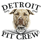 Detroit Pit Crew