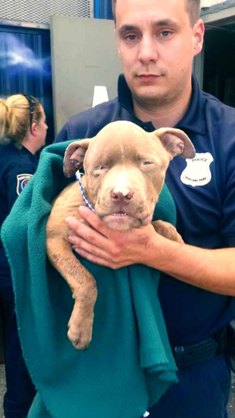 Officer holds Courage the Pittie