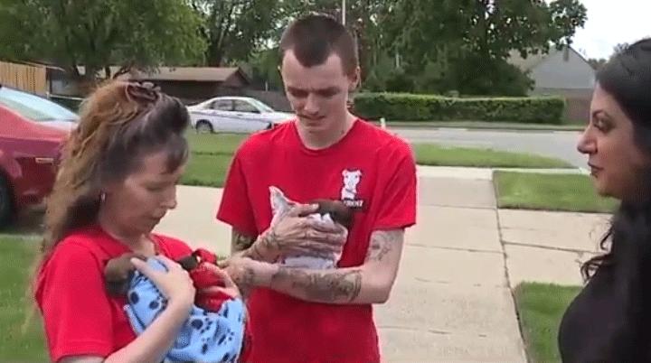 Three puppies that were only two days old were found abandoned on a sidewalk in Detroit.