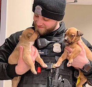 Officer Holds Puppies